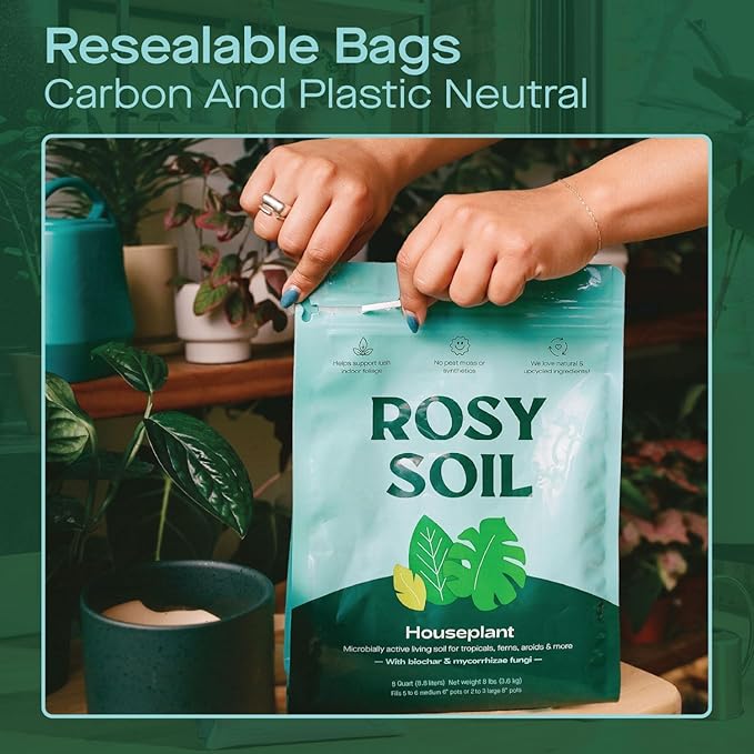 Rosy Soil Indoor Potting Soil for House Plants - Organic Potting Soil Mix for Indoor Plants - Enriched w/Root-Boosting Biochar for Foliage Plants, Flowers, Herbs - Peat Free, Less Prone to Gnats - 8qt - Bloomnest
