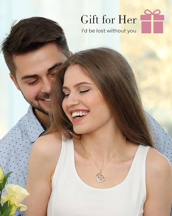 S925 Necklace Gift for Wife |Compass Jewelry |Women Anniversary |Sterling Silver |Girlfriend Birthday Gifts for Her Valentines |I'd be Lost without You |Jewel 18K Gold - Bloomnest