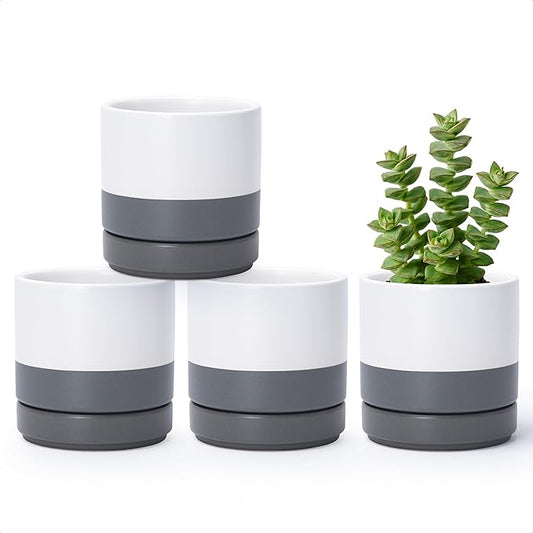 D'vine Dev Set of 4 Small Ceramic Plant Pots, 4.7 Inch Succulent Planter Pot for Plants with Drainage Hole and Saucer, White/Speckled Grey, 94-X-B-6 - Bloomnest