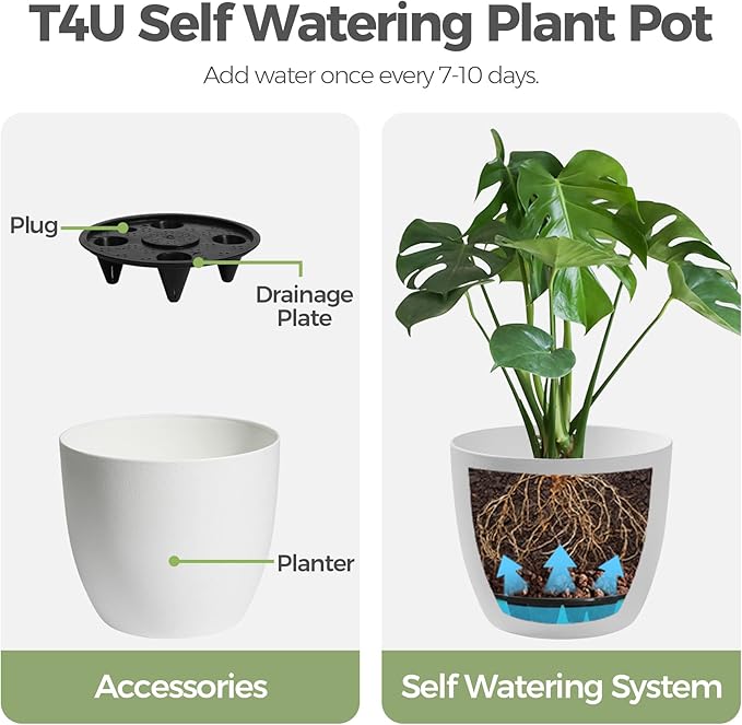 T4U 6 Inch Self Watering Planters Plastic Plant Pot, Modern Decorative Flower Pot/Window Box for All House Plants, Flowers, Herbs, African Violets, Succulents - White, Set of 6 - Bloomnest