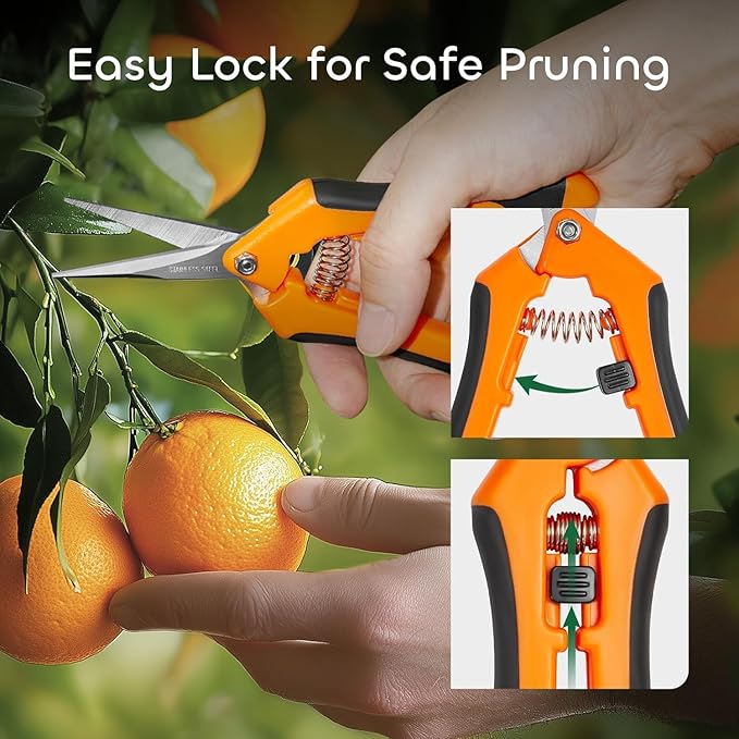 GROWNEER 1 Packs 6.5 Inch Pruning Shears Gardening Hand Pruning Snips Gardening Scissors with Straight Stainless Steel Precision Blades - Bloomnest