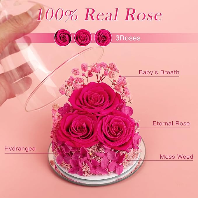 Valentines Day Gifts for Her Women Preserved Flower Rose, Forever Eternal Fresh Flowers in Glass Angel Figurines Flowers for Delivery Prime for Grandma Mom from Daughter Wife Mothers Day Birthday Pink - Bloomnest