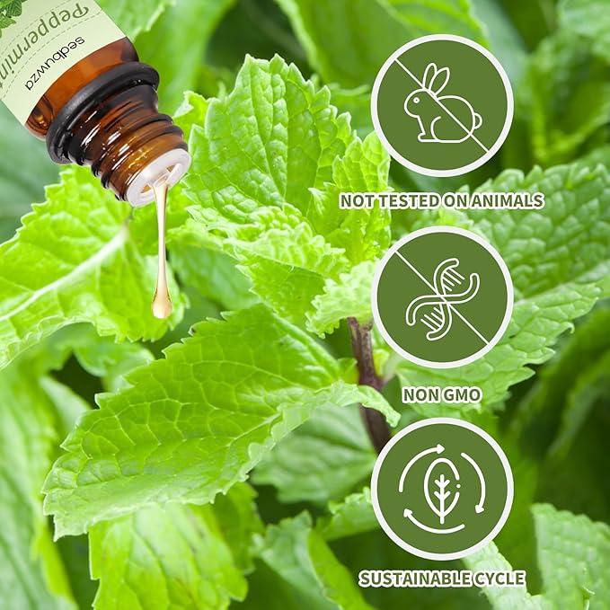 Sedbuwza Peppermint Orange Essential Oil Set, Peppermint Fragrance Oil Orange Scent Oil Set for Diffuser, Aromatherapy, Massage, Soap, Candle Making 2 x 10 ml Sedbuwza