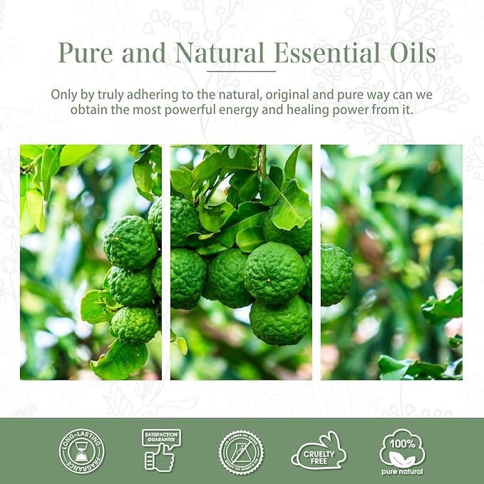 Bergamot Essential Oil 1.01fl.oz/30ml, PHATOIL Bergamot Oils Long Lasting Scents for Aromatherapy, Diffuser, DIY Soap and Candle Making - Bloomnest