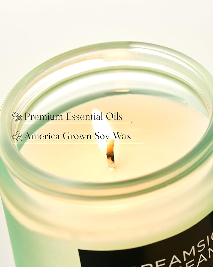 M&SENSE Orange Creamsicle Scented Candle, 7.05oz 50 Hours Slow Burning Non Toxic Natural Soy Wax 2 Wick Candle for Home Scented, Long Lasting Home Fragrance Gifts for Housewarming & Anniversry - Bloomnest