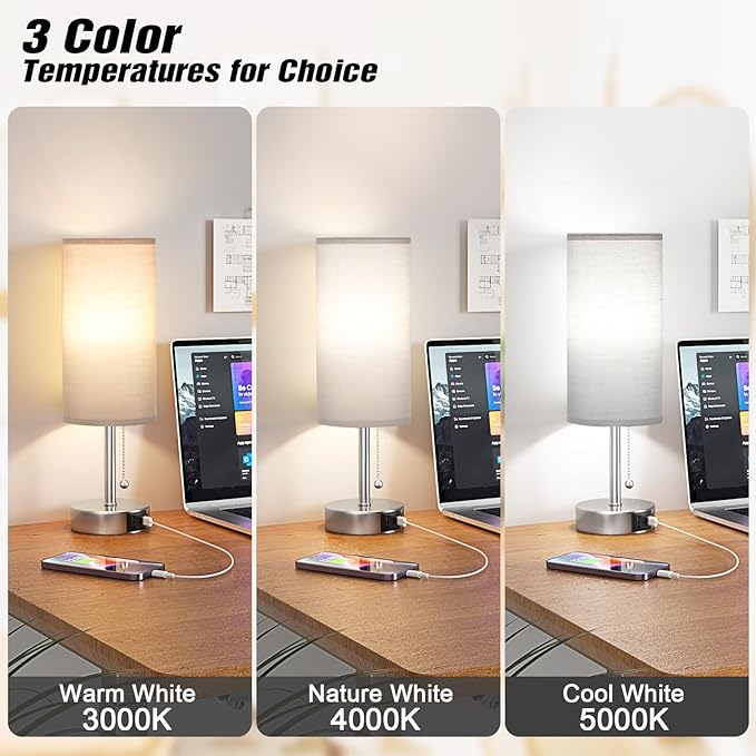 Grey Table Bedside Lamp for Bedroom Nightstand - Small Silver Lamp with USB A + C Charging Port, 3 Color Temperatures Pull Chain Night Stand Light with Bulb, Side Table Desk Lamp for Living Room - Bloomnest