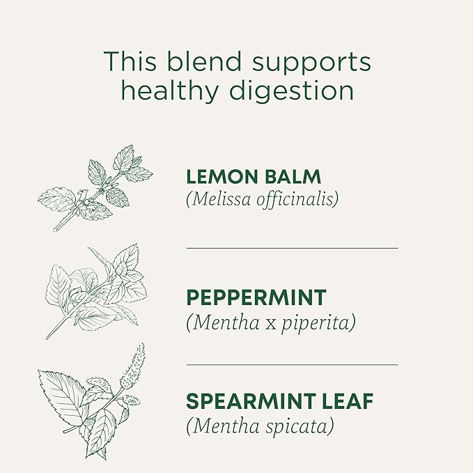 Traditional Medicinals Tea, Organic Triple Mint - Supports Healthy Digestion - Kosher, Non-GMO, Caffeine-Free - 16 Tea Bags - Bloomnest