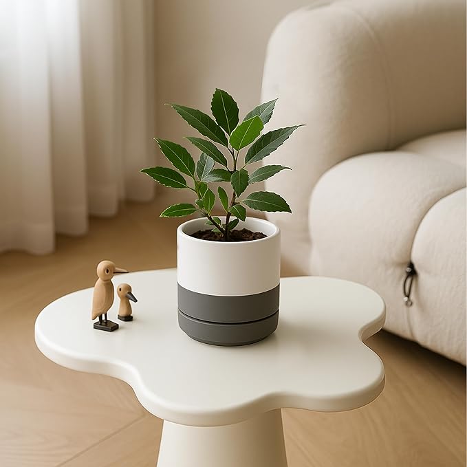 D'vine Dev Set of 2 Plants Pots, 4.7 Inch Ceramic Planter Pot for Plants with Drainage Hole and Saucer, White/Speckled Grey, 94-V-B-6 - Bloomnest