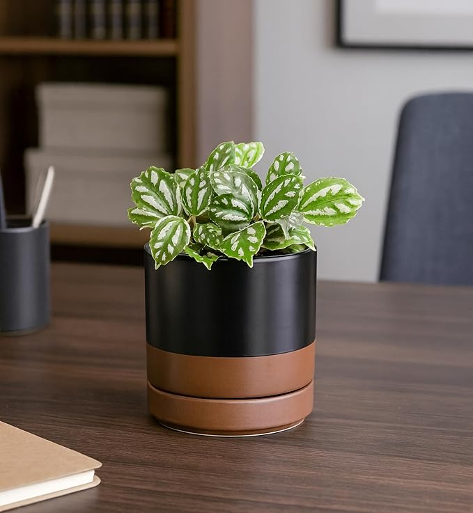 D'vine Dev 4.7 Inch & 6.5 Inch Ceramic Planter Pots for Plants with Drainage Hole and Saucer, Small Plant Pots Set, Black/Speckled Tan, 94-G-S-7 - Bloomnest
