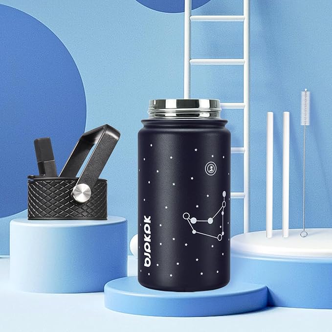 BJPKPK Water Bottle with Straw Lid, 15 oz Insulated Water Bottle, Stainless Steel Metal Water Bottles, Reusable Leak Proof BPA Free Thermo, Flask, Cups,Constellation-Capricornus - Bloomnest