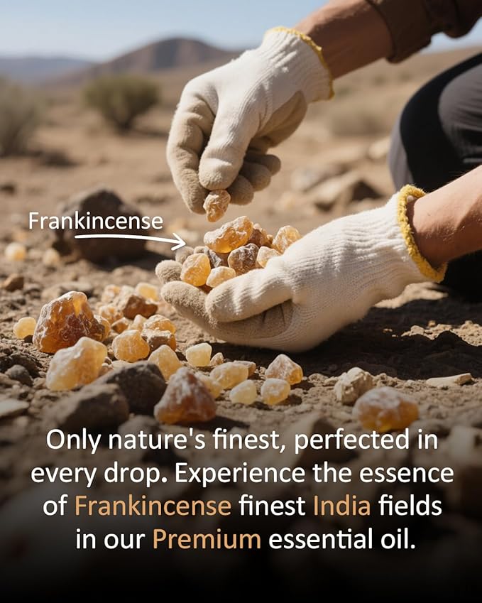 Frankincense Essential Oil 4 Fl Oz (120ml), 100% Pure Essential Oil for Diffusers, Large Value Size for Everyday Home Aromatherapy, DIY Candles, Soap Making, Massage Dilution Airoomoil