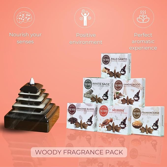 Woody - Backflow Incense Cones for Waterfall - Scented Inscents-Cones - Sandalwood, Dragons Blood, Palo Santo, White Sage - Insiensos Aromaticos - 6x10=60 Large Variety Pack - Back Flow Down Reverse TRUMIRI