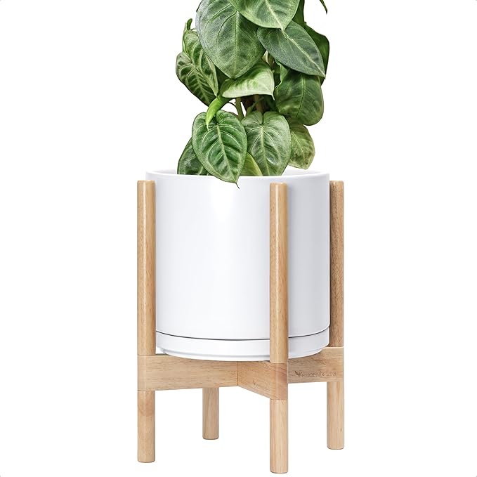 D'vine Dev Ceramic Planter with Natural Stand - 10 Inch Modern Round Flower Pot with Wood Planter Holder, White, 55-B-K-1 - Bloomnest