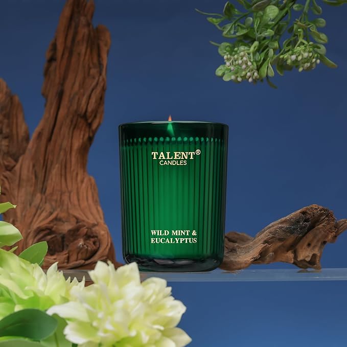 Jar Candles for Home Scented, Aromatherapy Candles Gifts for Women & Men, Natural Soy Candle, 8.4oz Traditional Style, Wild Mint & Eucalyptus - Bloomnest