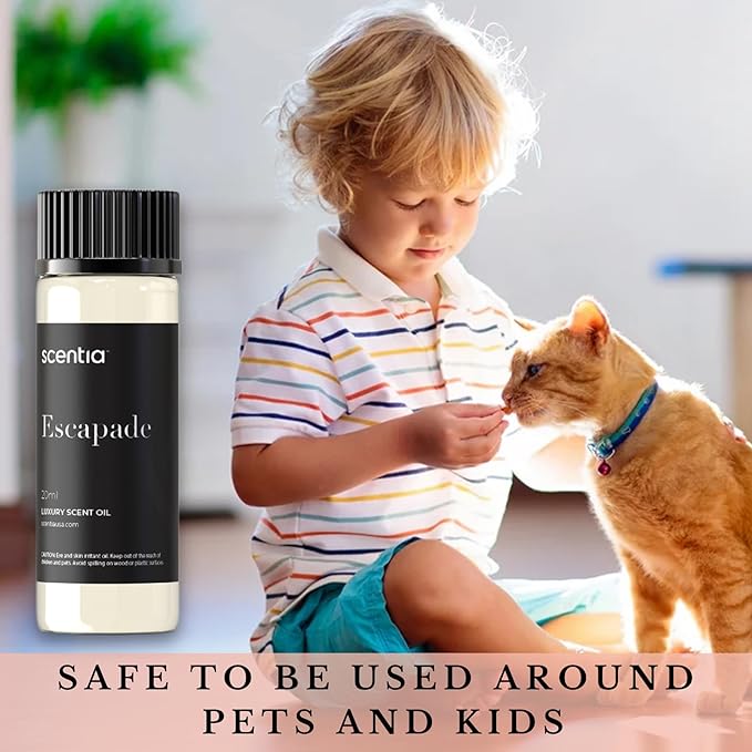 Scentia Hotel Diffuser Oil Inspired by 5-Star Hotel Scent - 20 mL 0.67 fl oz - Aromatherapy Fragrance Oil Inspired by 5 Star Hotel - Escapade - Bloomnest