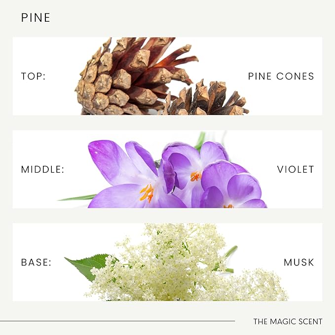 The Magic Scent Pine Aroma Oil - Diffuser Scent - Cold-Air & Ultrasonic Diffuser Oil - Pine Essential Aromatherapy - 8.5 fl oz, 250 mL - Bloomnest