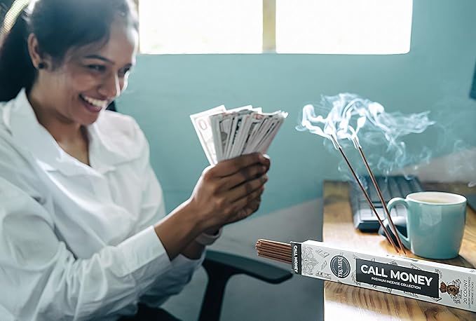 Money Incense Sticks - Total 120 Insence-Sticks (20 Inscents x 6 Insense) Inciensos Aromaticos para La Casa Incents to Attract Money Luck Success Abundance Blessing Road Opener + Incense Holder - Bloomnest