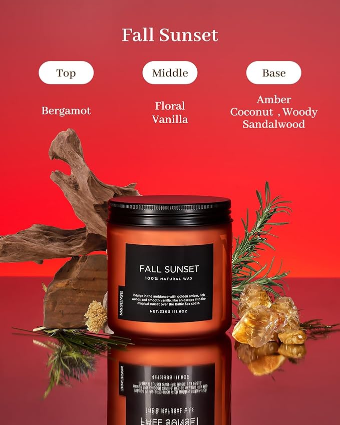 M&SENSE Baltic Amber Fall Scented Candle, 11.6oz Clean Natural Soy Wax Non Toxic Up to 70 Hours Burn Time 2 Cotton Wick Housewarming Candle for Home Scented - Bloomnest