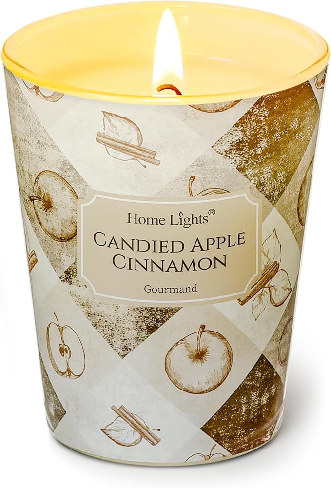 HomeLights Large jar Candle | 1-Wick Long-Lasting Scented Candles, 6.7oz Natural Soy Wax Candle for Home Scented, Rustic Modern Gifts for Women & Men, Candied Apple Cinnamon - Bloomnest