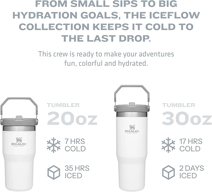 Stanley IceFlow Flip Straw Tumbler with Handle 30 oz | Twist On Lid and Flip Up Straw | Leak Resistant Water Bottle | Insulated Stainless Steel |BPA-Free | Polar - Bloomnest