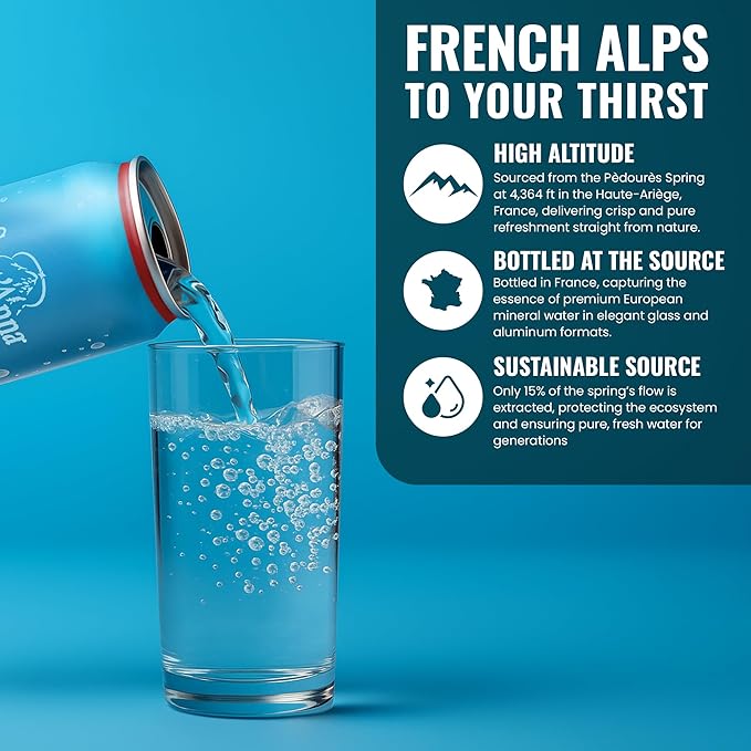 Sant'Anna Sparkling Natural Mineral Water, 11.16 Fl Oz (24-Pack) | Pure French Pyrenees Mountain-Fresh Drinking Water | Natural Functional Drink | Sodium-Free Mineral in Cans - Bloomnest