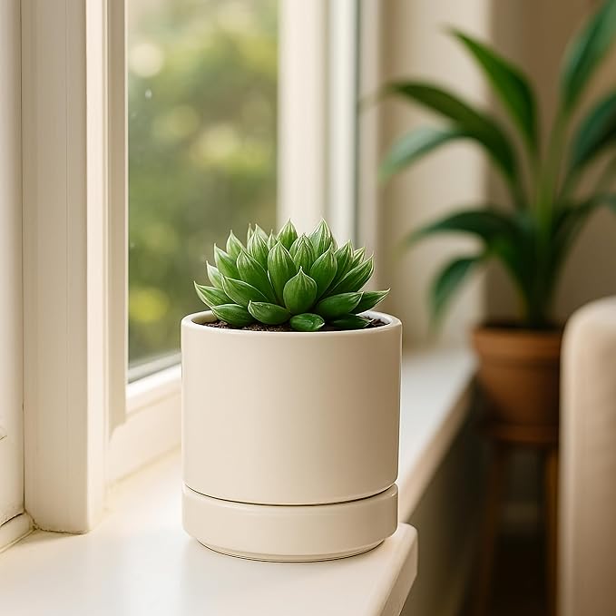 D'vine Dev Set of 2 Plants Pots, 4.7 Inch Ceramic Planter Pot for Plants with Drainage Hole and Saucer, Oatmeal, 94-V-B-8 - Bloomnest
