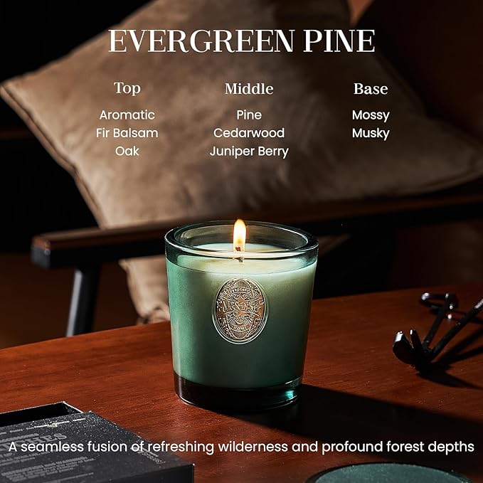 M&SENSE Natural Soy Candle | Evergreen Pine & Emerald Green | 9.2 oz, 50H Burn Time | Luxury Scented Candle for Relaxation, Gifting, Home Décor | Ideal for Bedroom, Office, Party Ambiance - Bloomnest