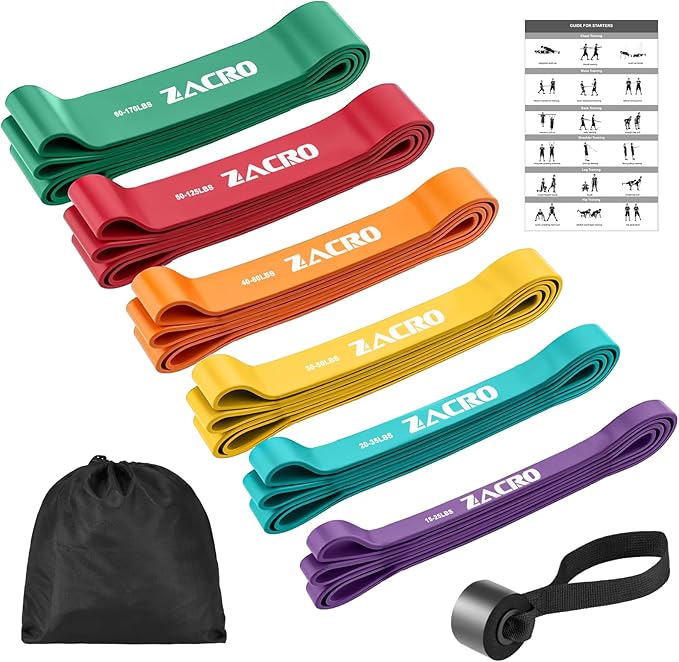 Zacro Resistance Bands, 6 Resistance Levels Pull Up Assistance Bands, Exercise Bands for Men&Women, Heavy Duty Resistance Band Set with Door Anchor, for Working Out, Muscle Training, Physical Therapy - Bloomnest
