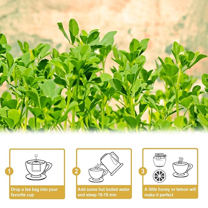 TEARELAE - Fenugreek Tea Bag - 3g x 50 Count - Premium Natural Fenugreek Seed Tea - Non-GMO - Caffeine-free - Support Digestion & Improve Heart Health - Bloomnest