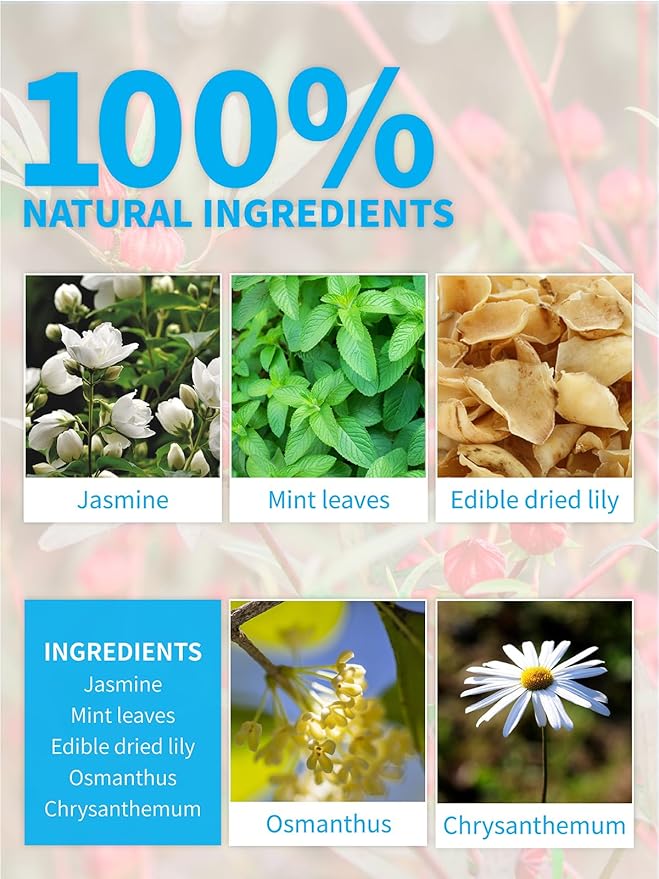 TeeLux Mint Jasmine Tea, 3g/bag, Mint with Jasmine, Lily, Osmanthus, Chrysanthemum, Fresh & Refreshing Flavor, Caffeine Free, 30 Count - Bloomnest