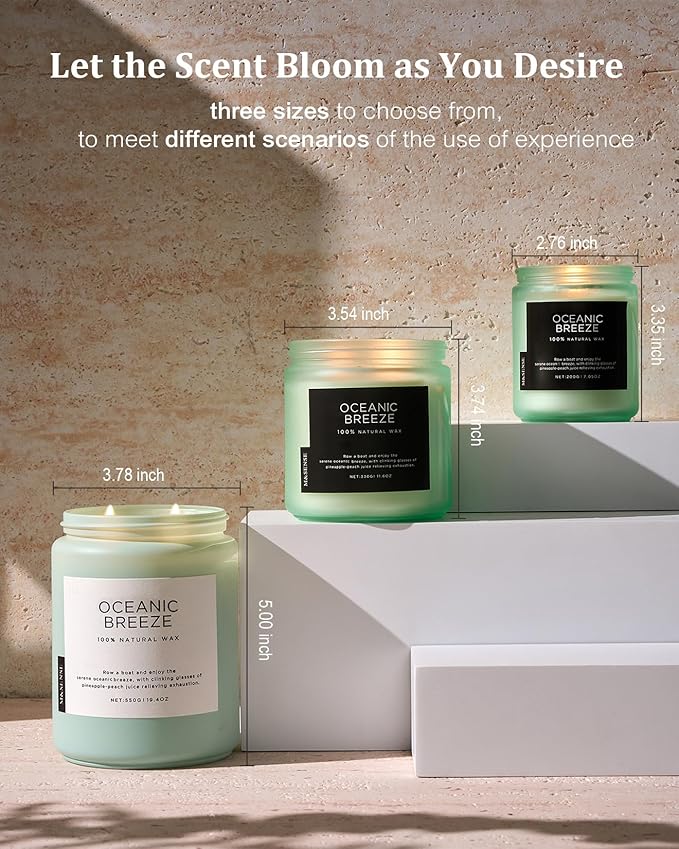 M&SENSE Candle Oceanic Breeze Scented, 19.4oz 110 Hour Long Lasting 2 Wick Pineapple & Mango Scent Natural Soy Candles for Home Scented for Stress Relief & Women/Men - Bloomnest