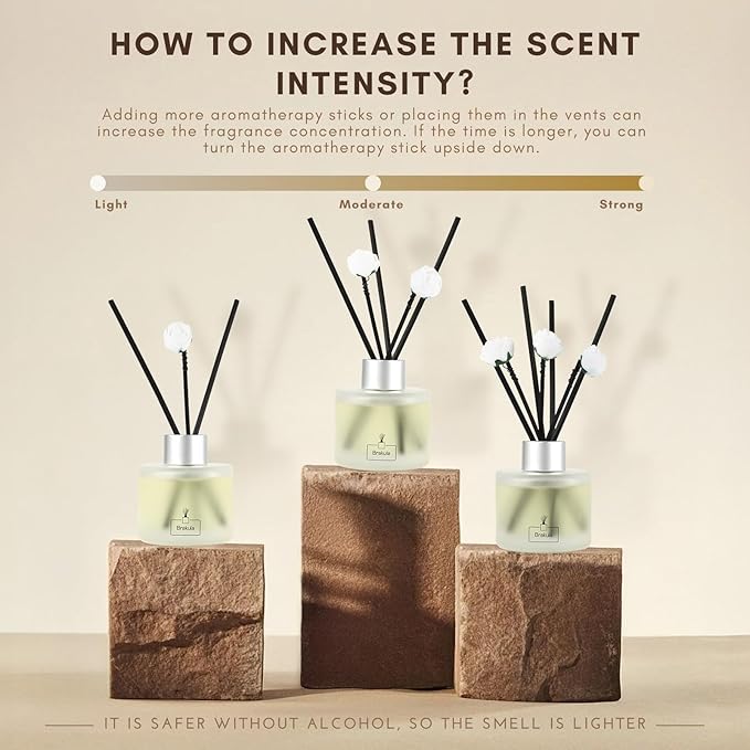 Brakula 2 Pack Reed Diffuser Set, Bamboo Scented, Home Fragrance with 14 Sticks Bathroom Decor, Reed diffusers for Home 6.76 fl oz (Bamboo) - Bloomnest