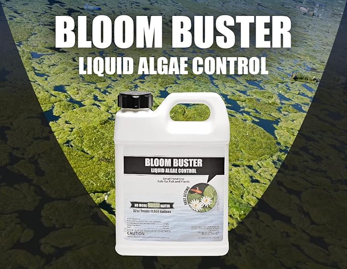 Bloom Buster Algae Control for Fish Ponds & Water Gardens - 32 Ounces - Safe for Koi Fish, Goldfish & Plants - Controls Algae in Ponds & Water Features, EPA Registered - Bloomnest