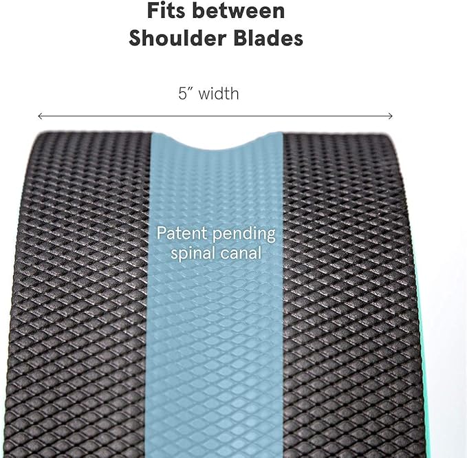 Chirp Wheel Foam Roller – Targeted Back & Neck Relief, Lumbar Spine Stretcher, Spinal Decompression Back Stretcher, Massage Roller with Density Foam for Physical Therapy, Supports 500lbs, 12-Inch Mint