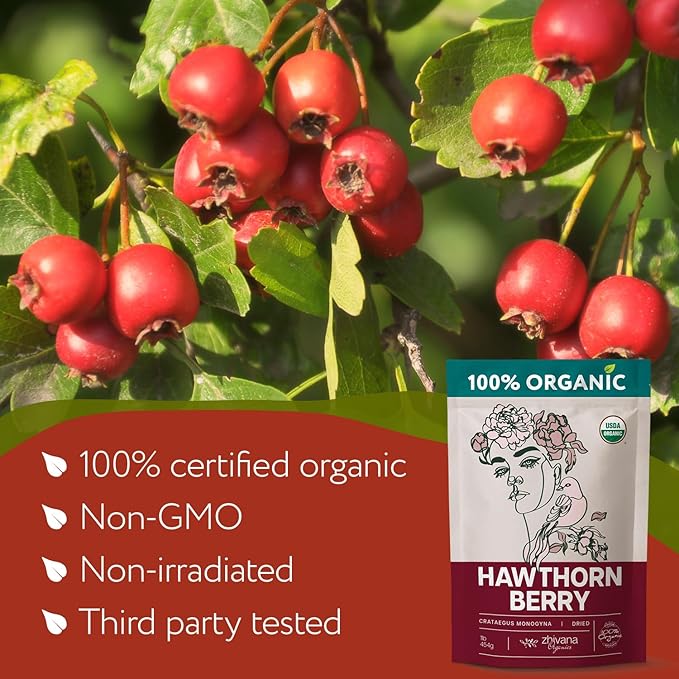 Super Large Value Pack 10 LB - Organic Hawthorn Berry Tea - Hawthorne Berries Organic - Healthy Circulation, Heart, Pressure Balance - Bloomnest