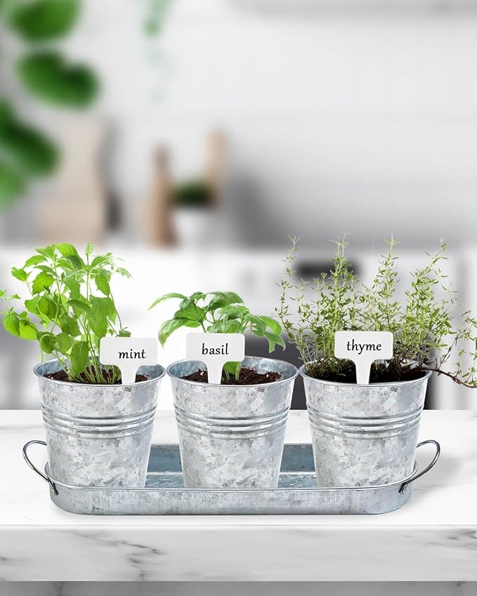 vensovo Indoor Herb Planter Set - Galvanized Windowsill Garden Pots with Tray & Drainage, Set of 3 Metal Window Planters for Kitchen & Outdoor Use, Silver - Bloomnest