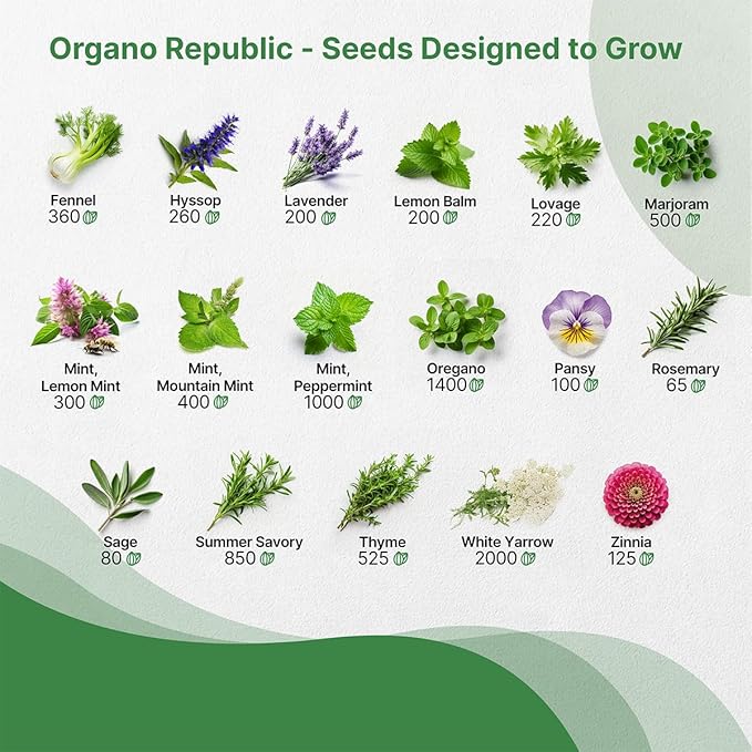 35 Medicinal & Tea Herb Seeds Variety Pack for Indoor & Outdoors. 16,335+ Non-GMO Heirloom Garden Seeds: Anise, Bergamot, Borage, Cilantro, Chamomile, Dandelion, Rosemary Seeds & More - Bloomnest