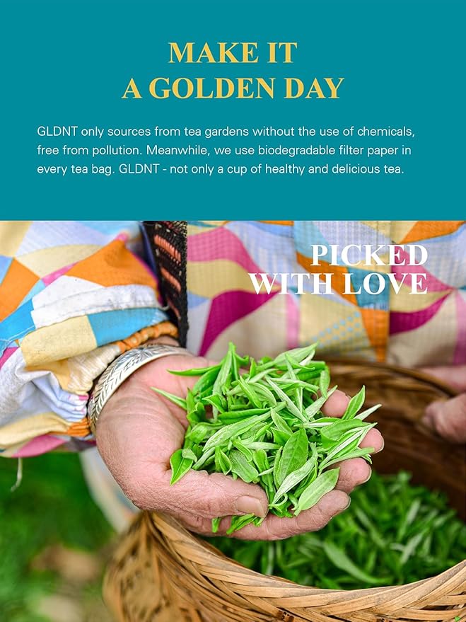 GLDNT Organic White Tea Bags, Natural Premium Organic White Tea, Mellow & Delicate Taste, Caffeinated, 100 Count - Bloomnest