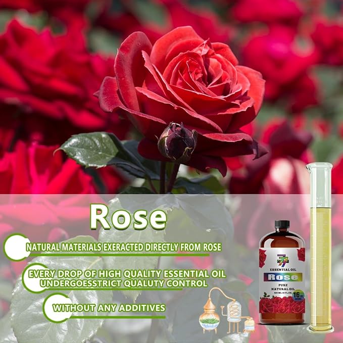Rose Essential Oil (16 oz/480 ml) — Rose Oils for Aromatherapy, diffusers, humidifiers, Home fragrances, DIY Skin Care, Soap Making, DIY Candle, Yoga, and Meditation - Bloomnest