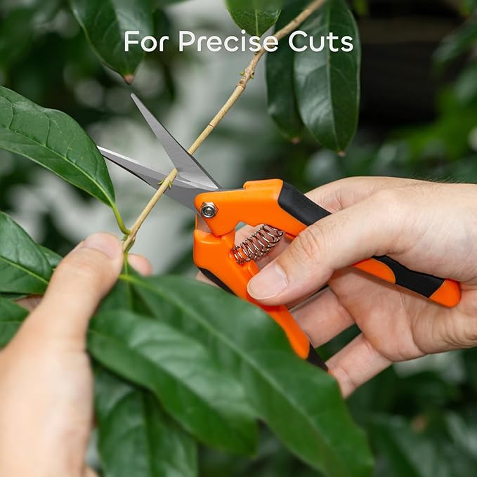 GROWNEER 6 Packs Pruning Shears Gardening Hand Pruning Snips with Straight Stainless Steel Precision Blades - Bloomnest