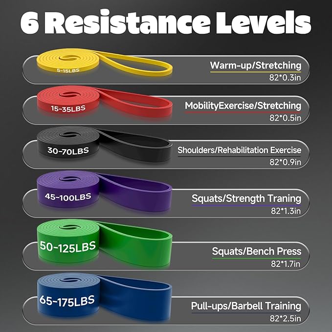 Resistance Bands Set with Door Anchor, Multi-Levels Pull Up Assistance Bands, Exercise Bands for Working Out, Stretching, Muscle Training, Physical Therapy (Men/Women) - Bloomnest