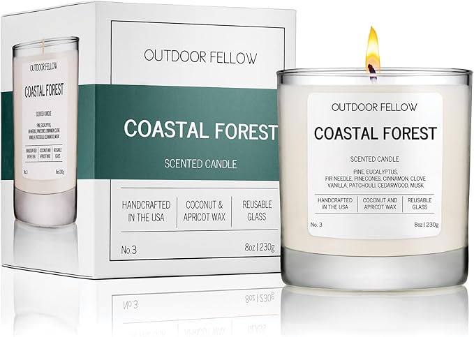 Outdoor Fellow Coastal Forest Scented Candle, 8oz, Coconut & Apricot Wax Blend, Pine, Eucalyptus, Cedarwood, Reusable Glass, 40-50 Hour Burn Time - Bloomnest