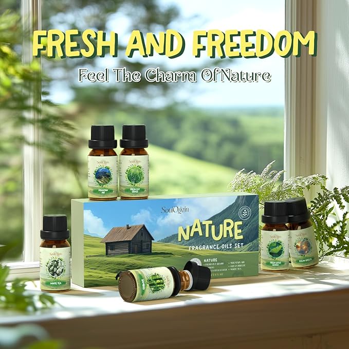 Nature Fragrance Oils Set, Essential Oil Gift Set for Diffuser, Natural Scent Diffuser Oil for Candle Making-Fresh Cut Grass, Mountain Air, Bamboo, Ocean Breeze, Fresh Lotus Leaf, White Tea - Bloomnest