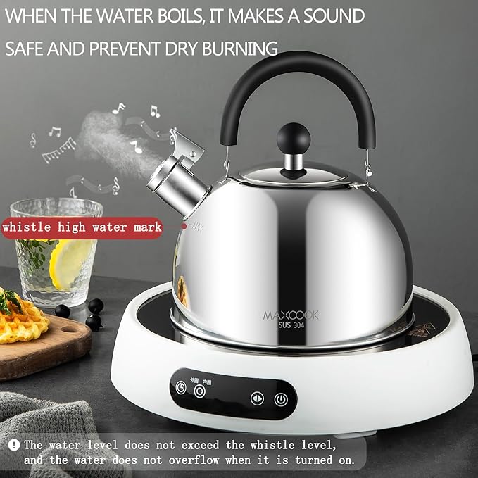 304 Stainless Steel Whistling Tea Kettle 3.17 Quart/3L Tea Pot, Suitable to Boiling Water & Tea on Induction Stove, Gas Stove Top - Bloomnest