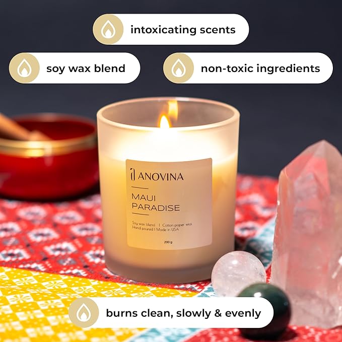 Anovina Maui Paradise Hawaii Candle for Home Scented – Hawaiian Gifts for Women – Natural Soy Wax Blend, 60 Hours Burn – Tropical Citrus, Fruity & Green Notes with Jasmine & Guava - Bloomnest