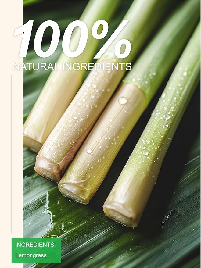 TeeLux Lemongrass Tea Bags, Pure & Natural Lemongrass Herbal Tea, Refreshing & Smooth Taste, Caffeine Free, 100 Count - Bloomnest