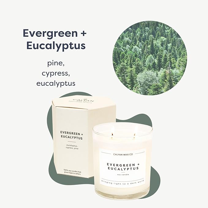 Calyan Wax Co. 2 Wick Candle, Evergreen + Eucalyptus Scented Candle, 37 Hour Burn Time, Aromatherapy Soy Candles, Non Toxic & Vegan Soy Wax, Glass Tumbler Scented Candles, 12.5oz - Bloomnest