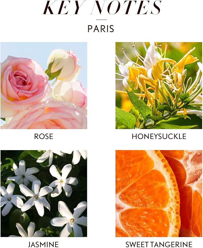 JCLOUD Paris Essential Oil for Diffuser - Hotel Diffuser Oil & Home Luxury Scents - Pure Aromatherapy Diffuser Oil with Rose, Jasmine and Honeysuckle, Natural & Pet Safe - 100mL JCLOUD