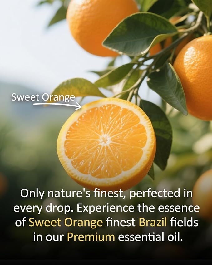 Sweet Orange Essential Oil 4 fl oz, 100% Pure Natural Citrus Oil for Diffuser Use, Natural Cleaning and DIY Soap & Candle Making, Fresh Orange Aroma for Home Fragrance, Large Bottle for Airoomoil