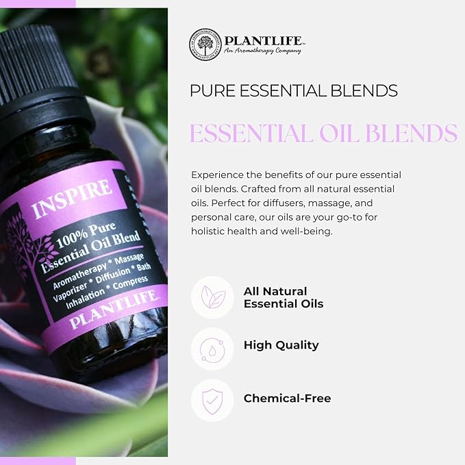 Plantlife Grounded Aromatherapy Essential Oil Blend - Straight from The Plant 100% Pure Therapeutic Grade - No Additives or Fillers - Made in California 10 ml - Bloomnest